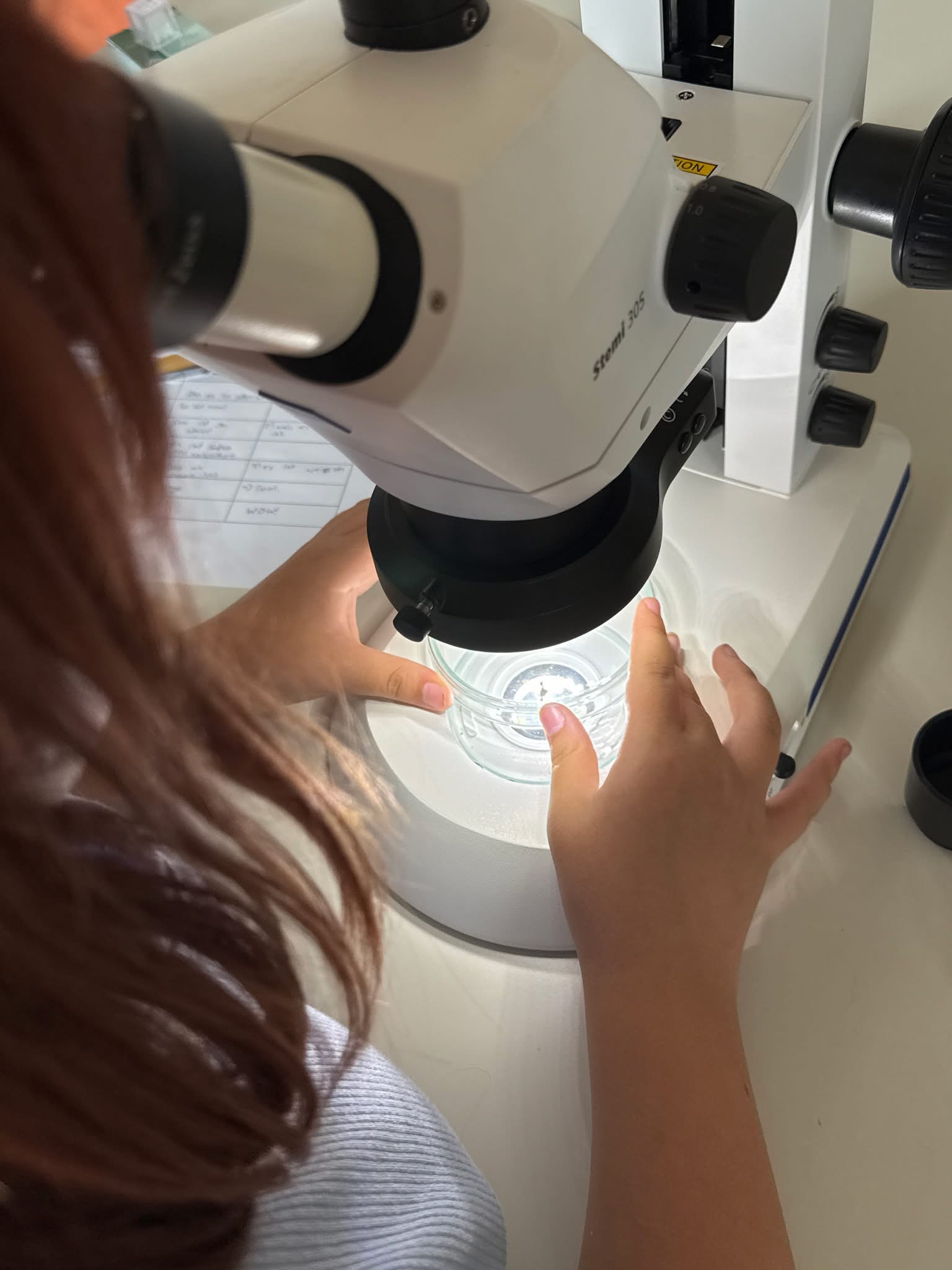 Mehr über den Artikel erfahren Entdecke die Welt der Naturwissenschaften: Talent-AG „Naturforscher“ an der Grund- und Realschule plus Gerolstein