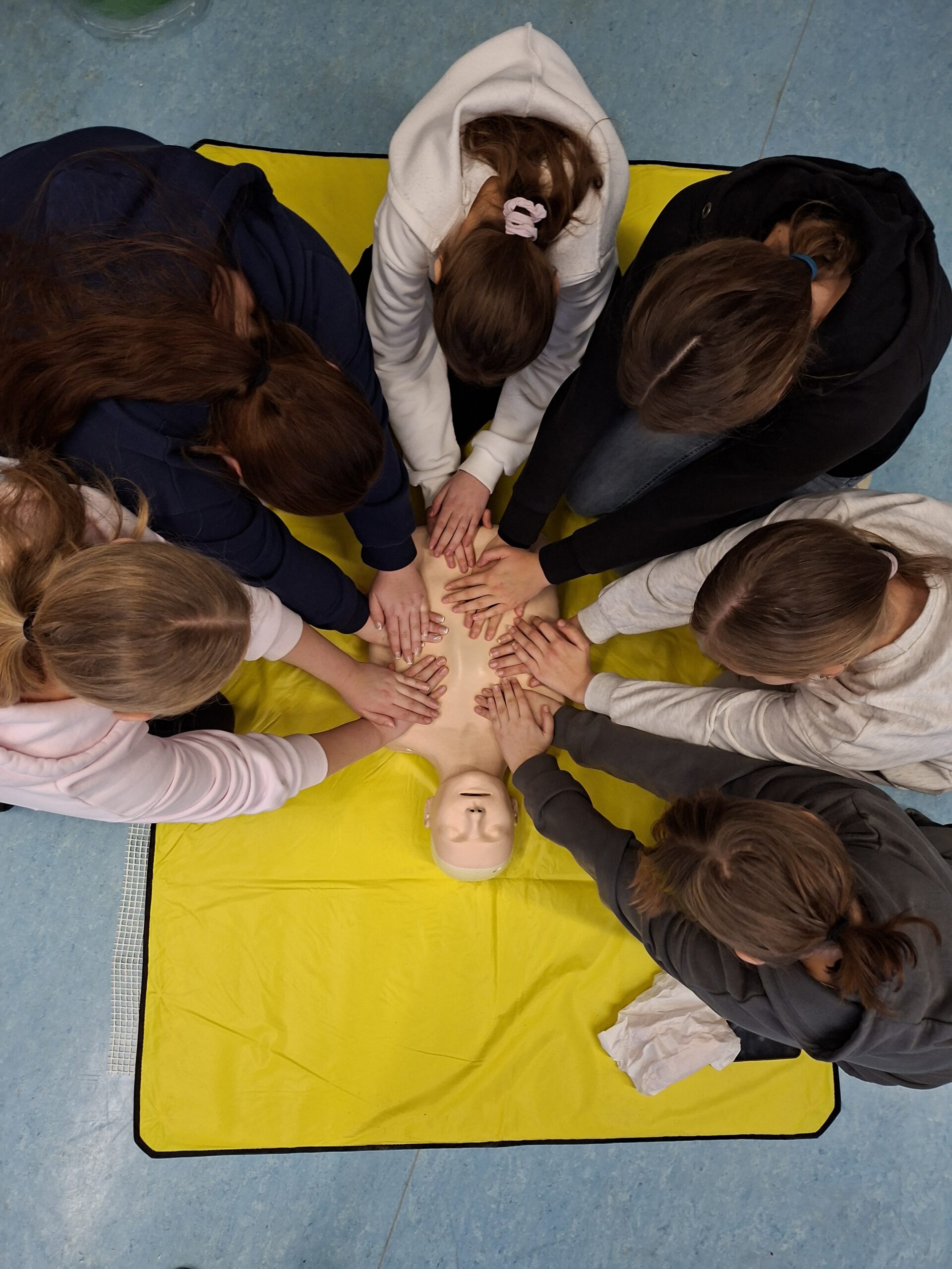 Mehr über den Artikel erfahren Reanimationskurs des DRK – Lebensrettende Fähigkeiten für Schülerinnen und