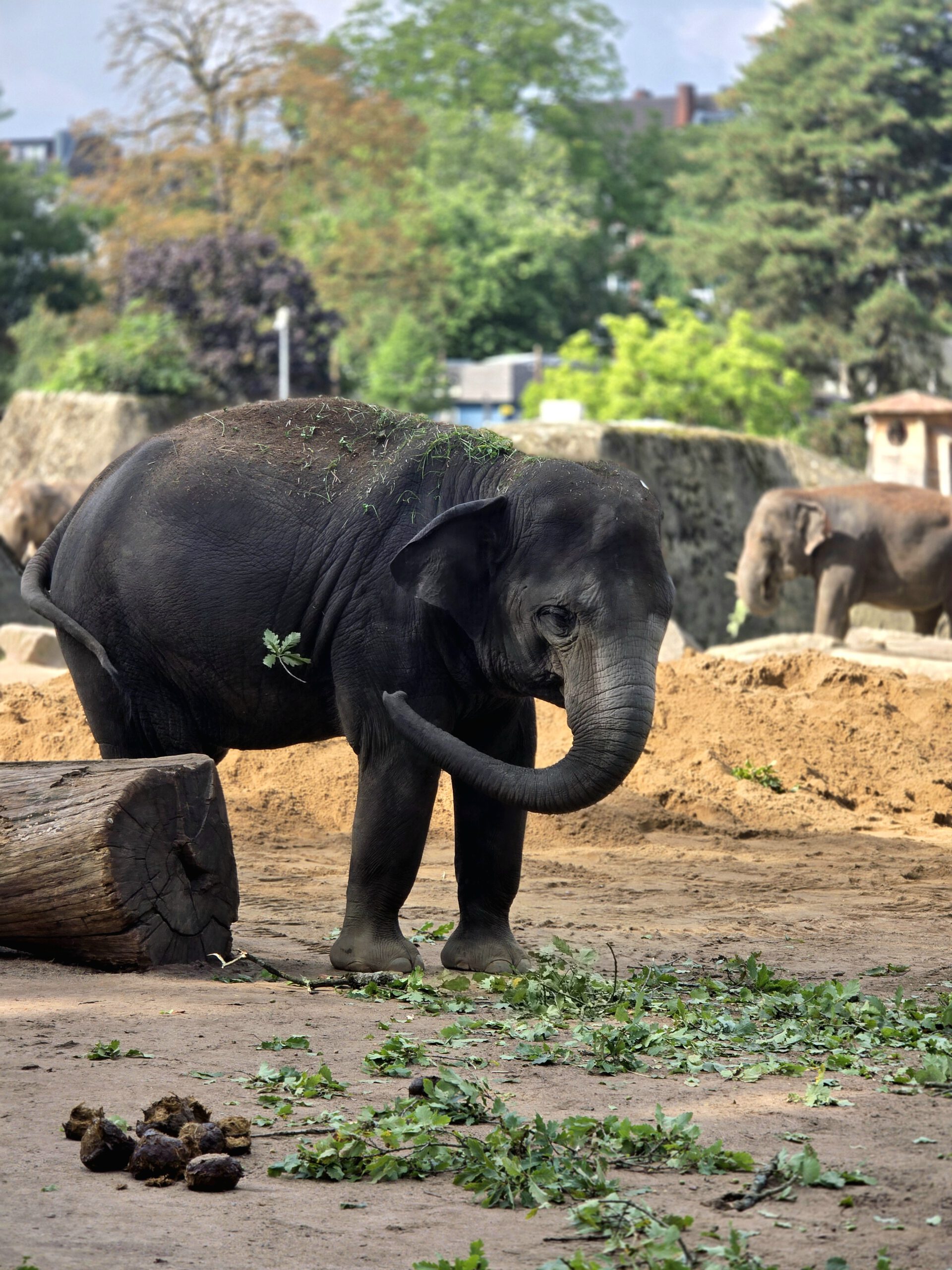 Mehr über den Artikel erfahren Zoo-Besuch